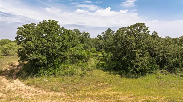 TBD County Road 268, Tract A, Rising Star, TX 76471