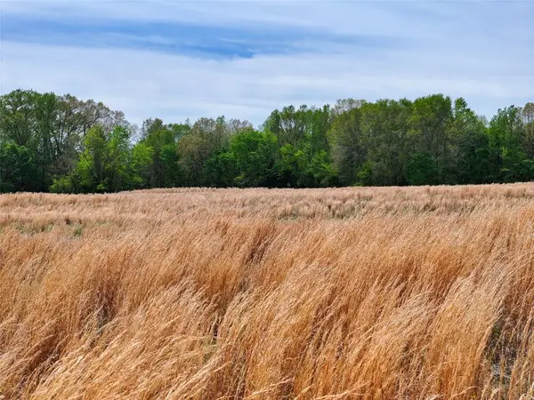 0 County Road 4249, De Kalb, TX 75559