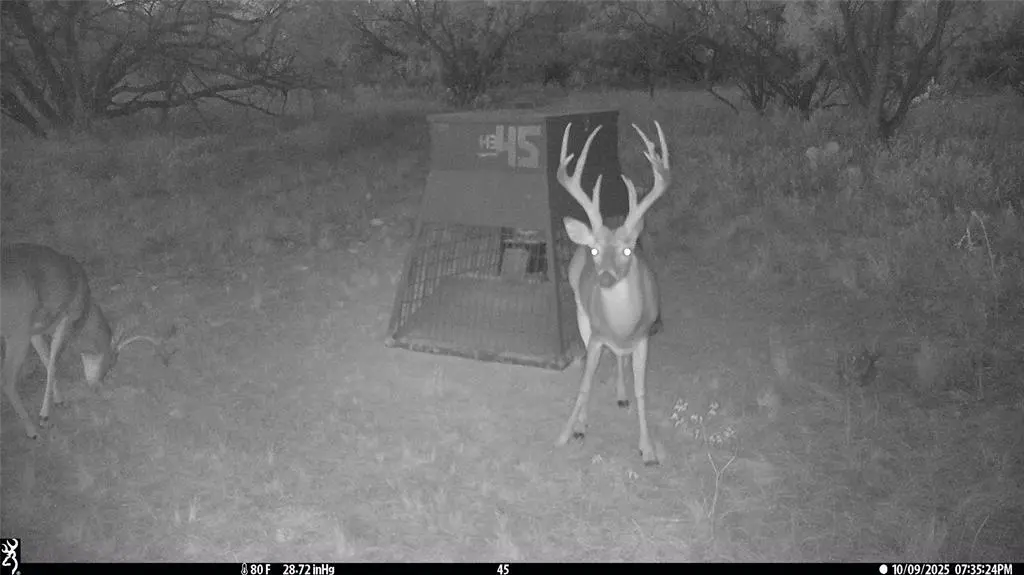 tbd TBD Cnty Rd 291, Breckenridge, TX 76464