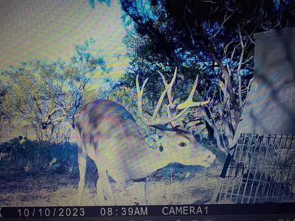 tbd TBD County Rd 291, Breckenridge, TX 76464