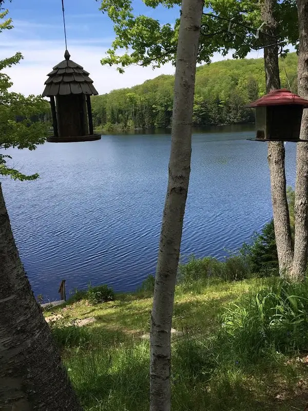 47 Bentley Lake PL, Faraday, ON K0L 1C0