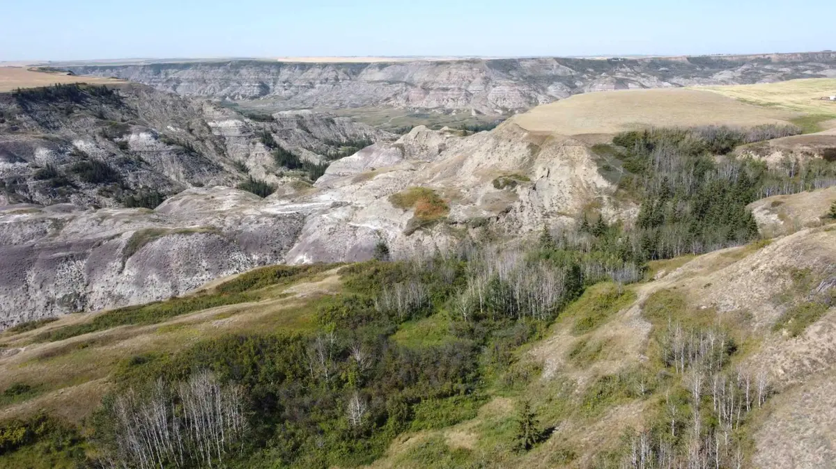 340044 Range Road 215, Rural Starland County, AB T0J 2B0