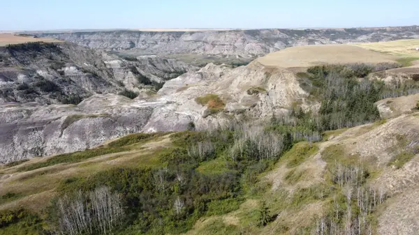 340044 Range Road 215, Rural Starland County, AB T0J 2B0