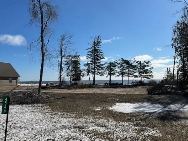 4546 N Lakeshore DR, Alcona Twp, MI 48721