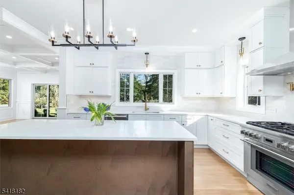 100 Van Doren Ave, Chatham Boro, NJ 07928