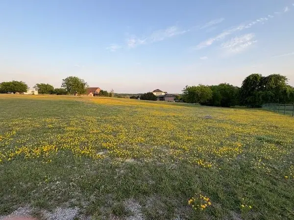 217 Pebble Ridge Court, Cresson, TX 76035