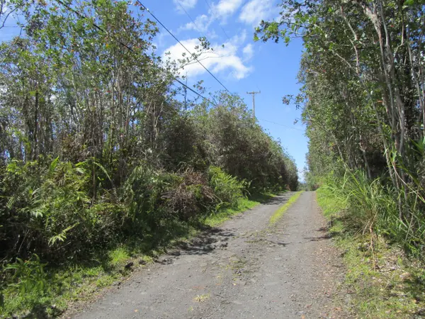 ROAD 11 (PULELEHUA), Kurtistown, HI 96760