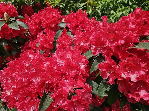 43460 NICHOLSON DR, Port Orford, OR 97465