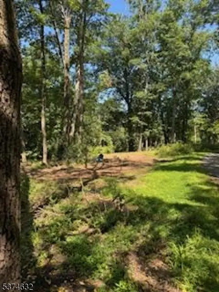 525 Stanton Station Rd, Readington Twp., NJ 08822