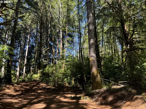 3 HILLTOP DR #1500, Lakeside, OR 97449