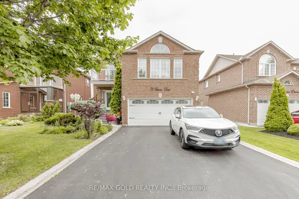 71 Pertosa DR #Basement, Brampton, ON L6X 4W7