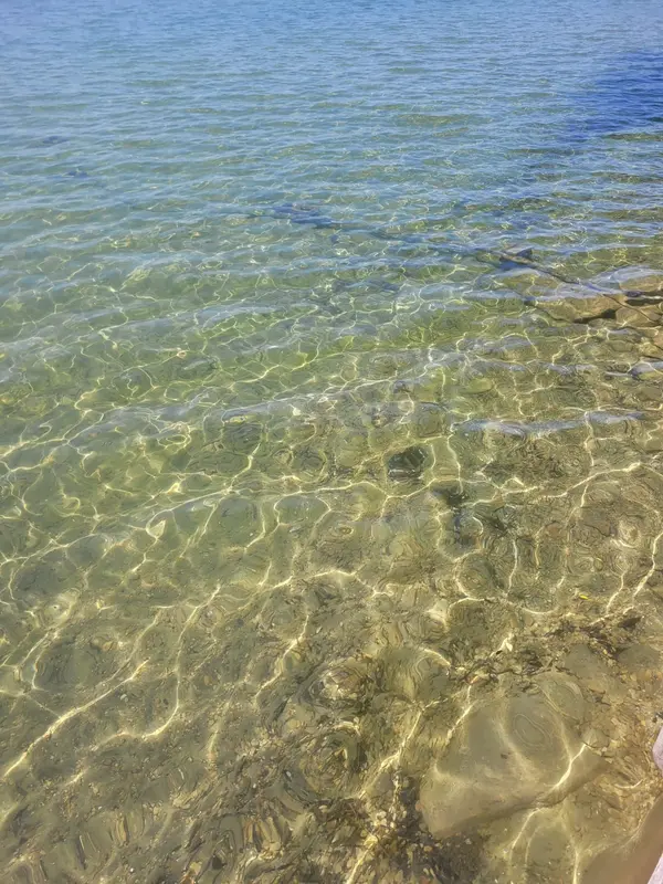 2644 Lakeshore DR, Ramara, ON L0K 1B0