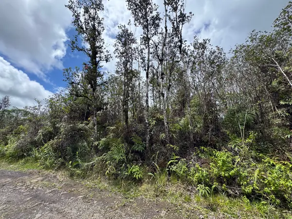 ROAD 7 (OPEAPEA), Kurtistown, HI 96760