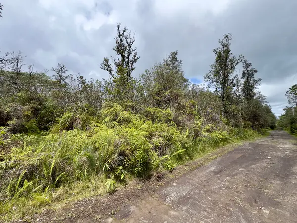 ROAD 7 (OPEAPEA), Kurtistown, HI 96760