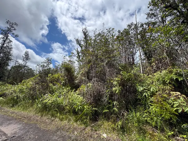 ROAD 7 (OPEAPEA), Kurtistown, HI 96760