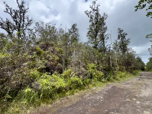 ROAD 7 (OPEAPEA), Kurtistown, HI 96760