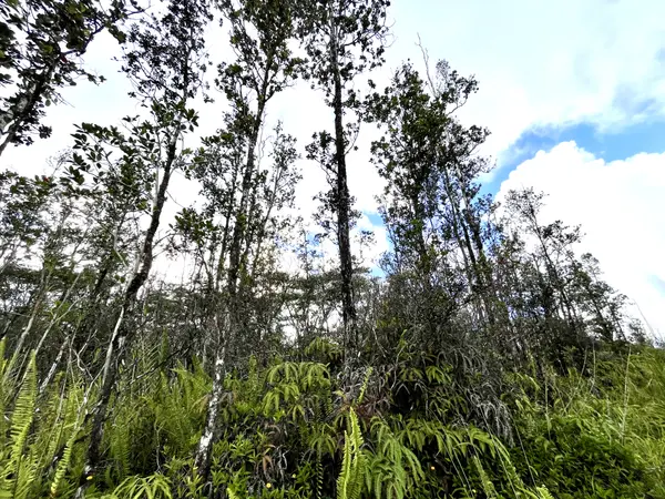 16-2106 BAMBOO DR, Pahoa, HI 96778