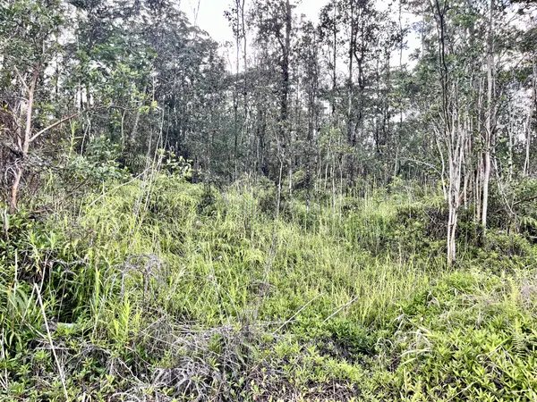 16-2106 BAMBOO DR, Pahoa, HI 96778