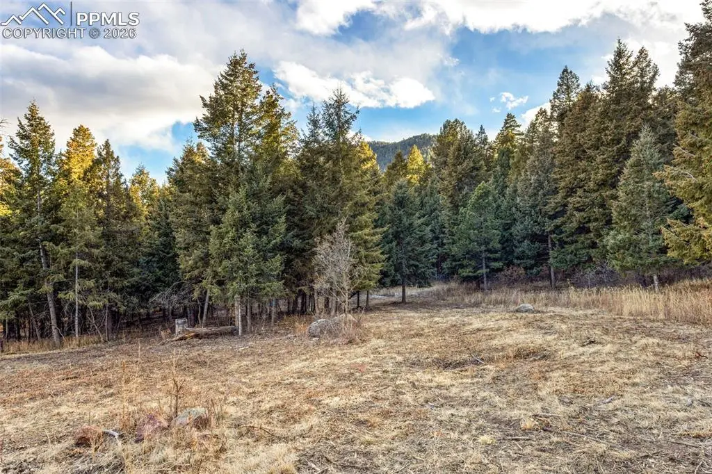 Mountain Ranch RD, Larkspur, CO 80118