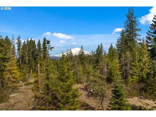 LONESOME PINES DR #4, Trout Lake, WA 98650