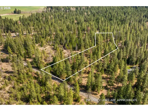 LONESOME PINES DR #4, Trout Lake, WA 98650