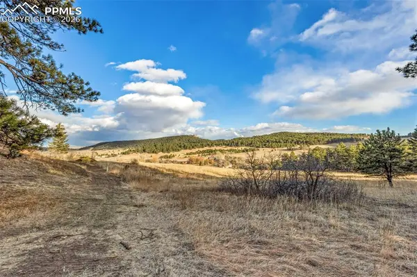 Mountain Ranch RD, Larkspur, CO 80118