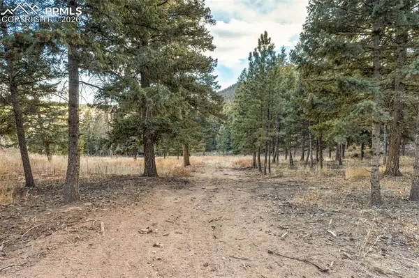 Mountain Ranch RD, Larkspur, CO 80118