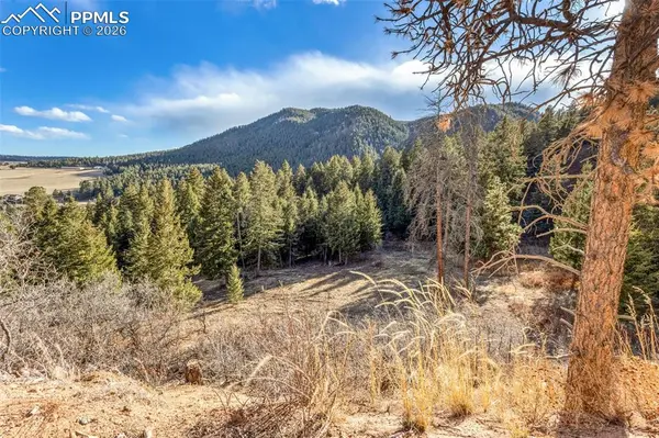 Mountain Ranch RD, Larkspur, CO 80118