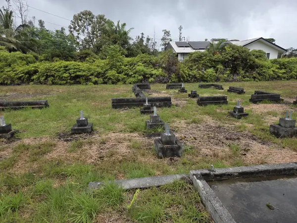 13-3451 ONELOA ST, Pahoa, HI 96778