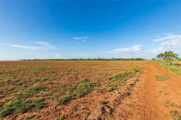 TBD CR 252, Colorado City, TX 79512