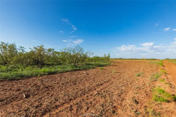TBD CR 252, Colorado City, TX 79512