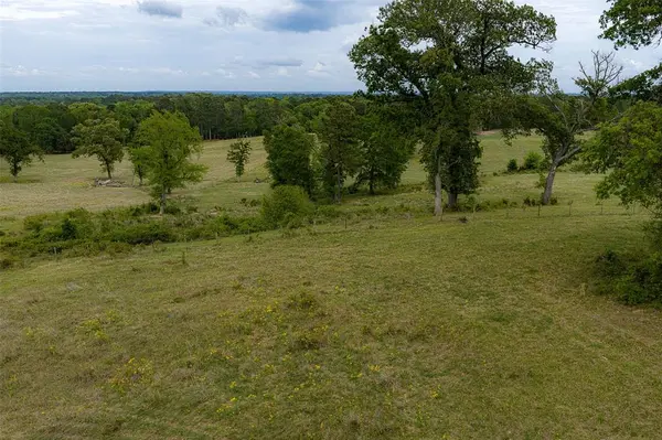 00 Tract 1 CR 1615, Jacksonville, TX 75766