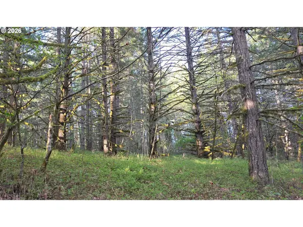 SW Tanner Creek Road, Gaston, OR 97119