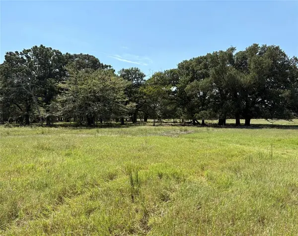 TBD 1 County Road 1168 #Tract 1, Brashear, TX 75420