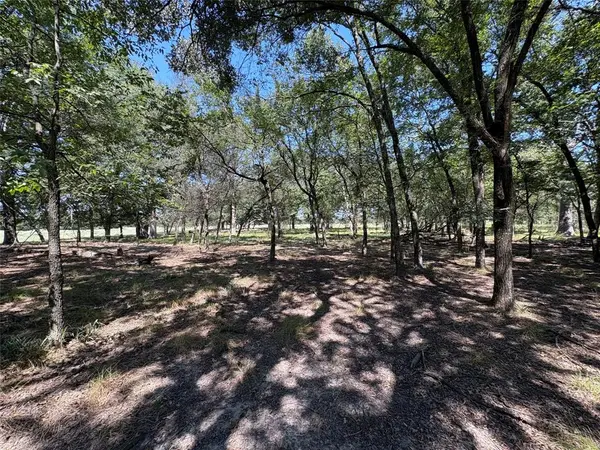 TBD 1 County Road 1168 #Tract 1, Brashear, TX 75420