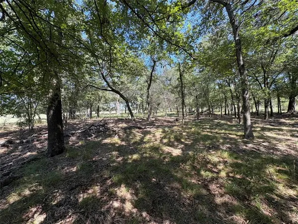 TBD 1 County Road 1168 #Tract 1, Brashear, TX 75420