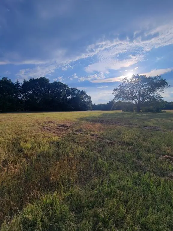 TBD Fm-2029, Telephone, TX 75488