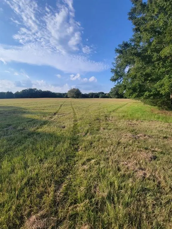 TBD Fm-2029, Telephone, TX 75488