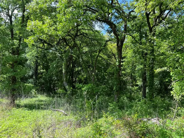 3024 Ida Lane, Alvarado, TX 76009