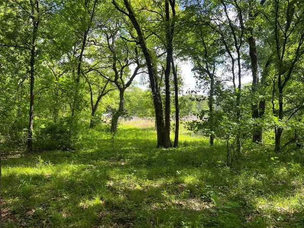 3024 Ida Lane, Alvarado, TX 76009