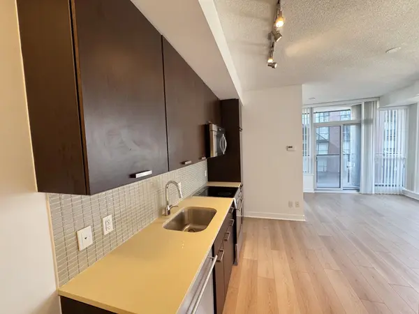 295 Adelaide ST W #1106, Toronto C01, ON M5V 0L4