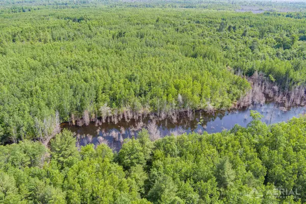 0 Co Road 646, Rogers Twp, MI 49779