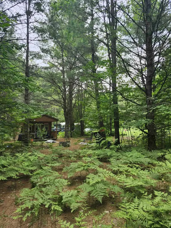 11856 Red Hawk, Union Twp, MI 49633