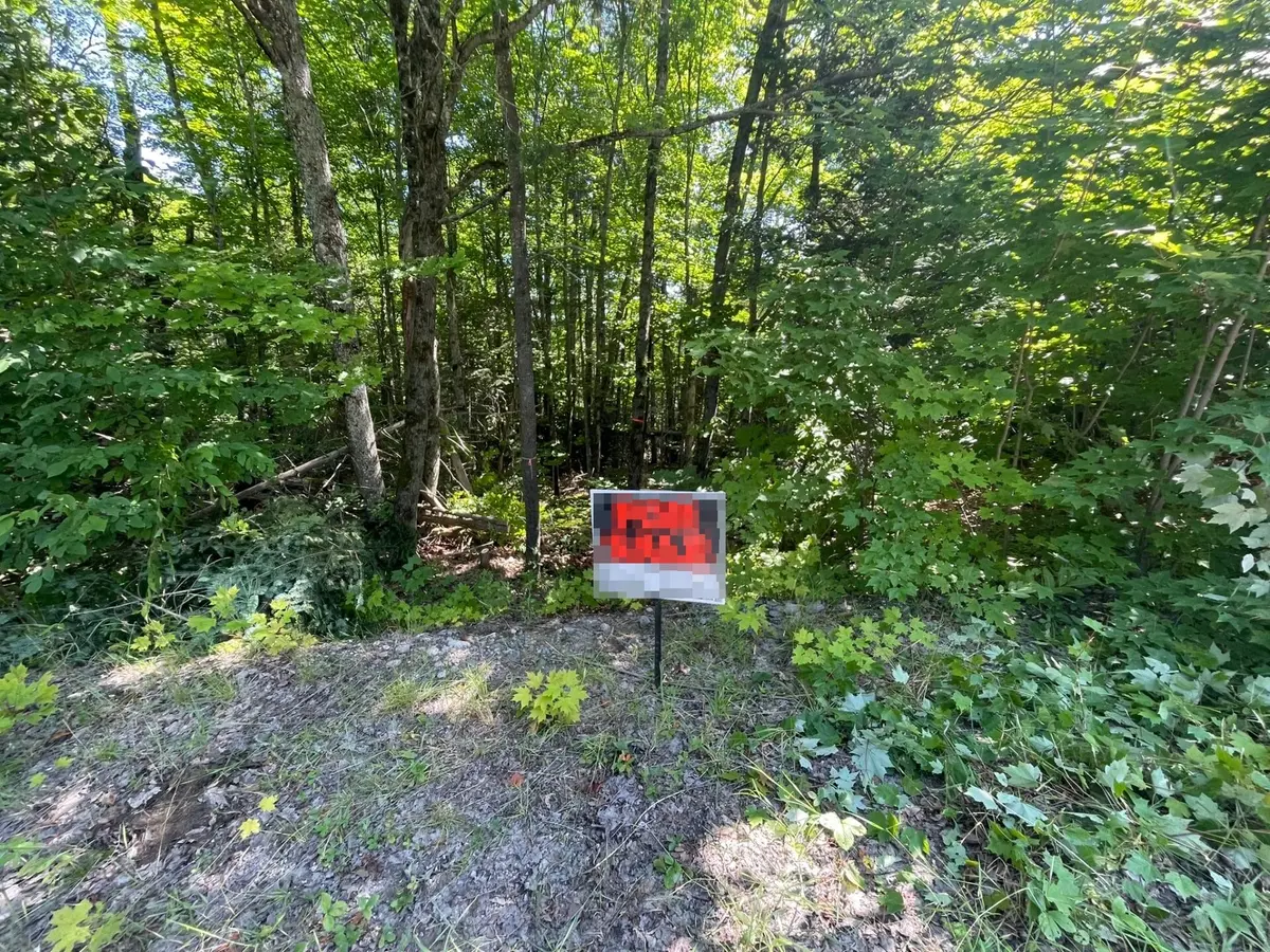 00 Rye RD #Part 2, South River, ON P0A 1X0