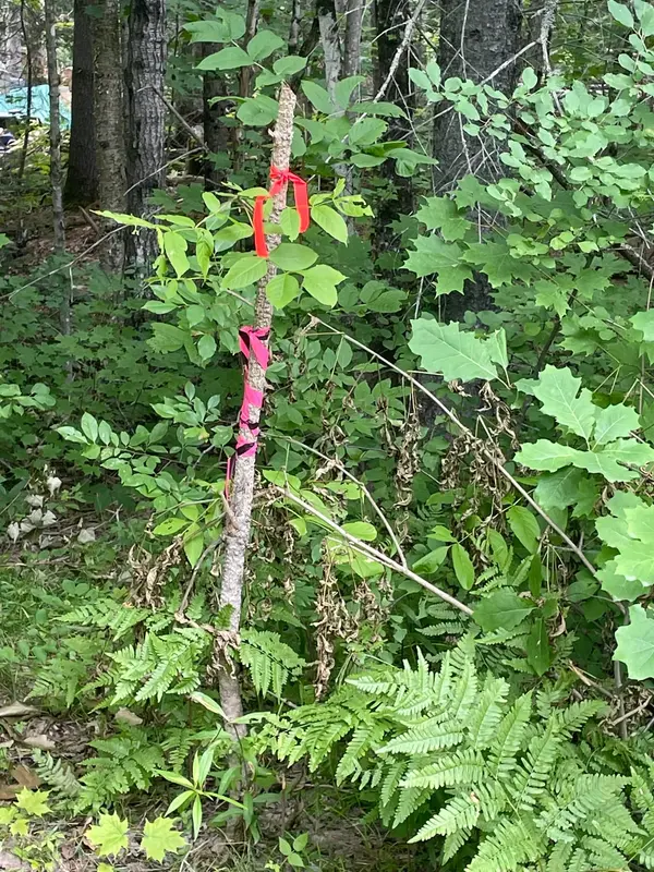 00 Rye RD #Part 2, South River, ON P0A 1X0