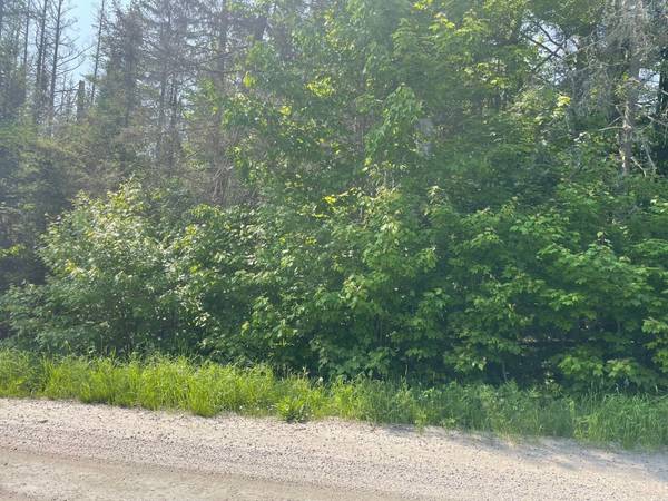 00 Rye RD #Part 2, South River, ON P0A 1X0