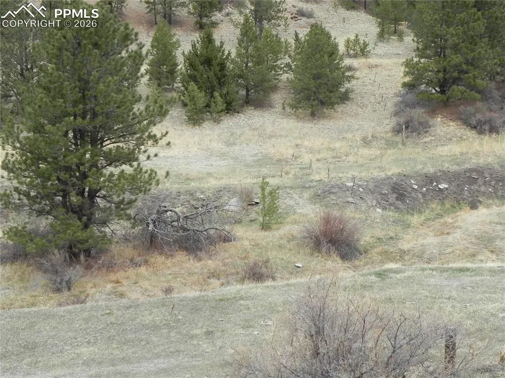 521 Monarch DR, Cripple Creek, CO 80813