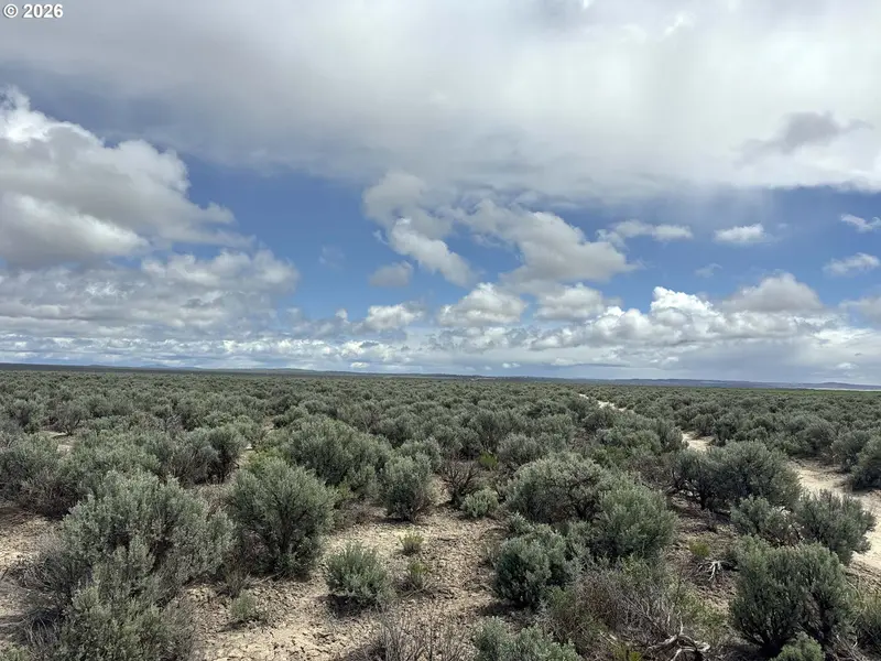 Lost Forest Lane #5600, Christmas Valley, OR 97641
