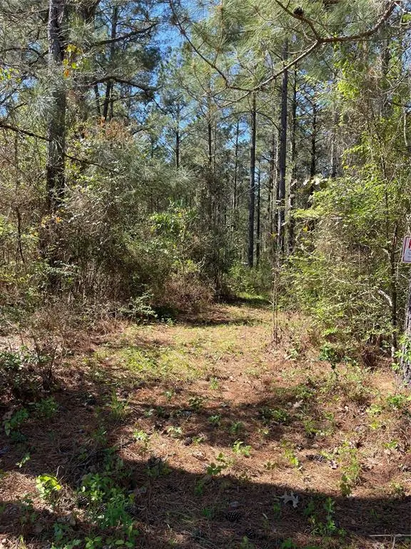 0 Providence Private Lane, Frierson, LA 71027