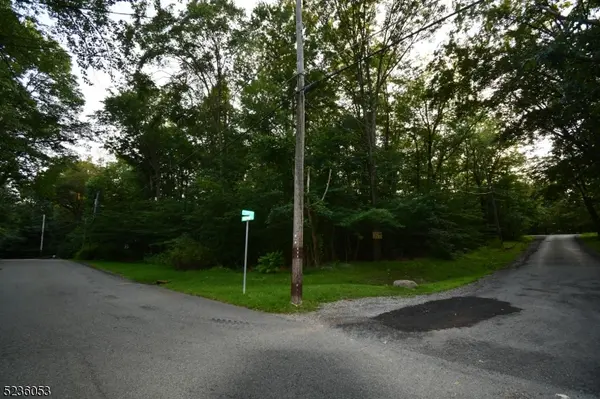 000 Peppe Ridge Dr, Stillwater Twp., NJ 07860